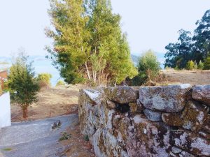 Chancelas- Bajada al mar