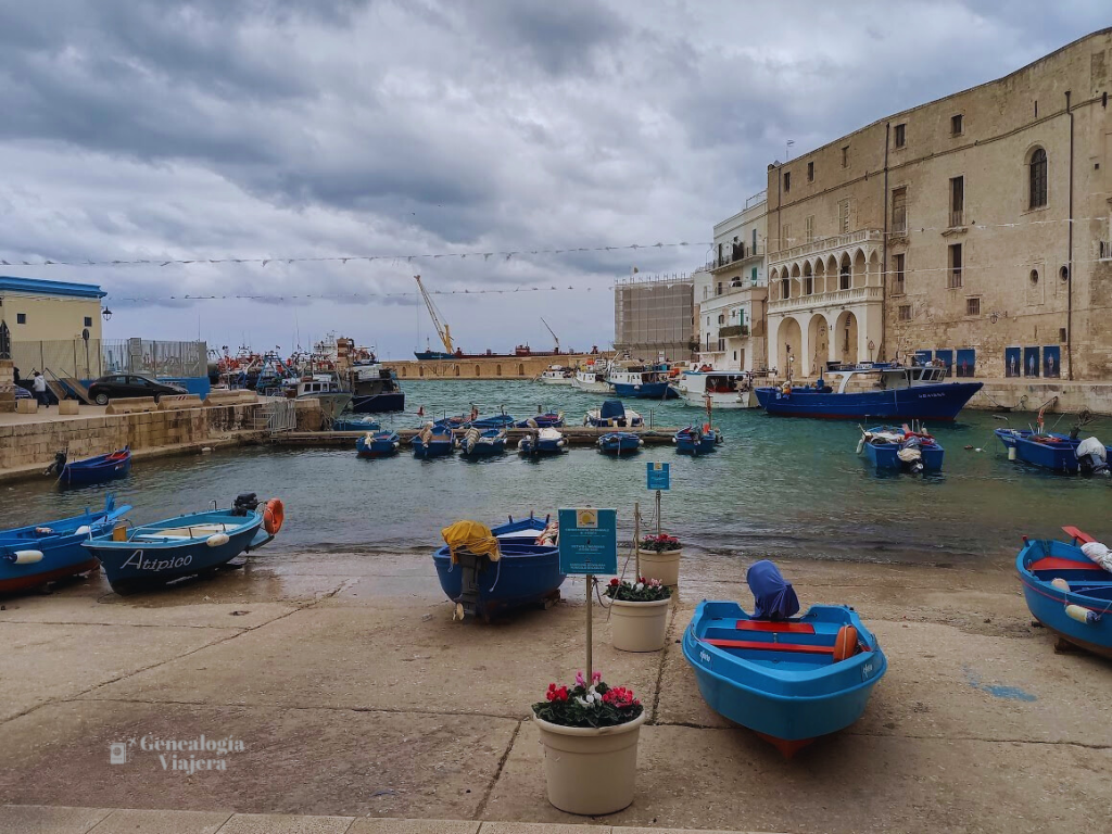 Monopoli- Que hacer- Donde alojarse