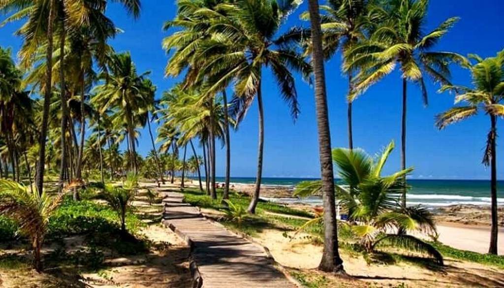 Salvador de Bahia - Brasil - Flamengo