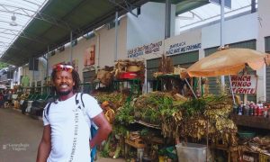 Salvador- BA- Brasil- donde comprar