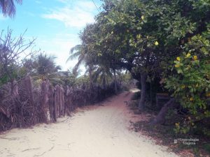 Calle de arena en Atins - MA