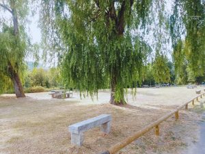 Zona para acampar  y comer en el rio Miño - Ourense