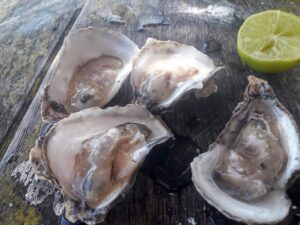  São Luís do Maranhão - Comida de playa