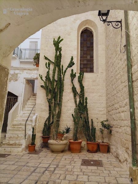 Rincón del casco histórico de Polignano a Mare con casas blancas de piedra, cactus y vegetación mediterránea