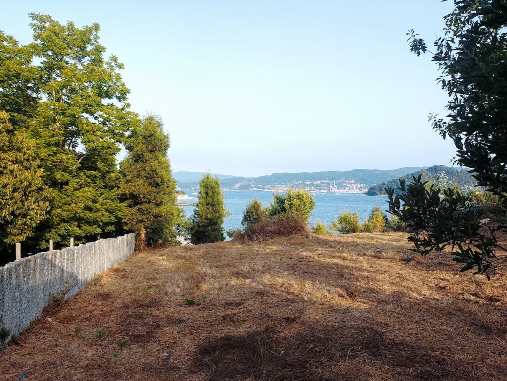 Vista al mar desde una barranca con vegetación en Chancelas