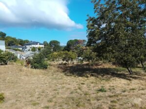 Paisaje rural de San Cibrao das Viñas con campos verdes, árboles y edificaciones al fondo