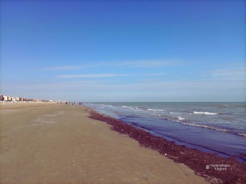 Extensa orilla plana de la playa de Rímini en otoño, mostrando una línea de algas oscuras dejadas por la marea, el mar calmo y unos pocos edificios a lo lejos bajo un cielo despejado.