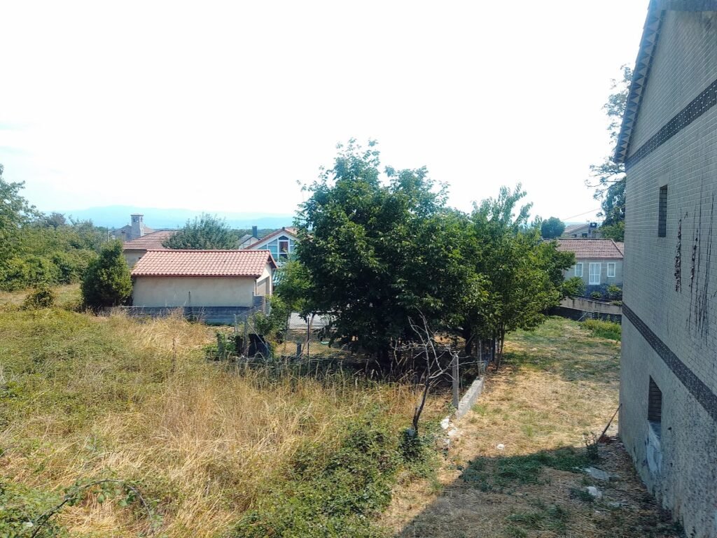 Terrenos verdes y fincas con árboles frutales entre viviendas unifamiliares en el entorno rural de Sandiás