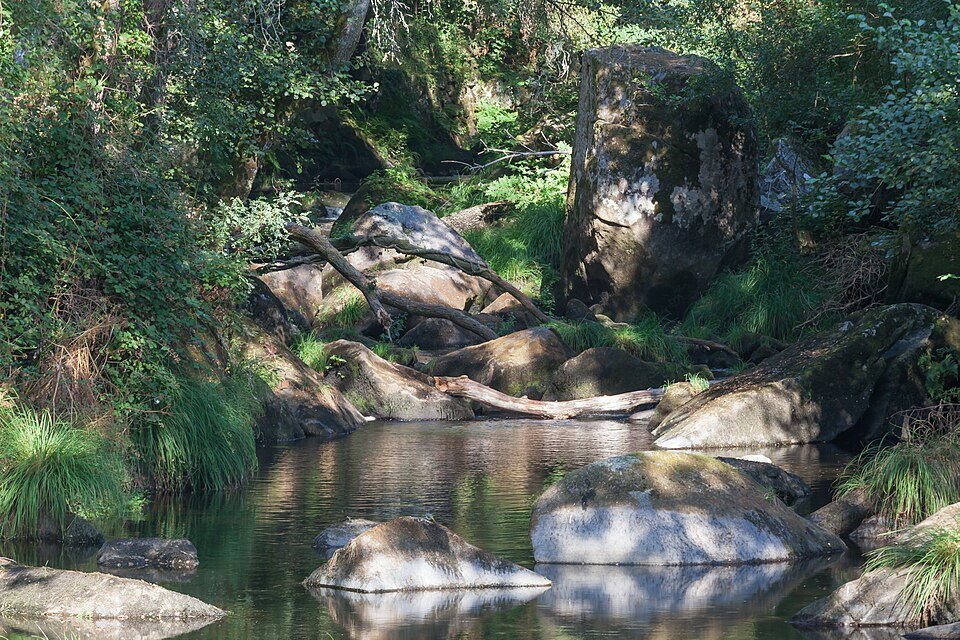 Río Arenteiro fluyendo entre grandes rocas y vegetación densa en Galicia.