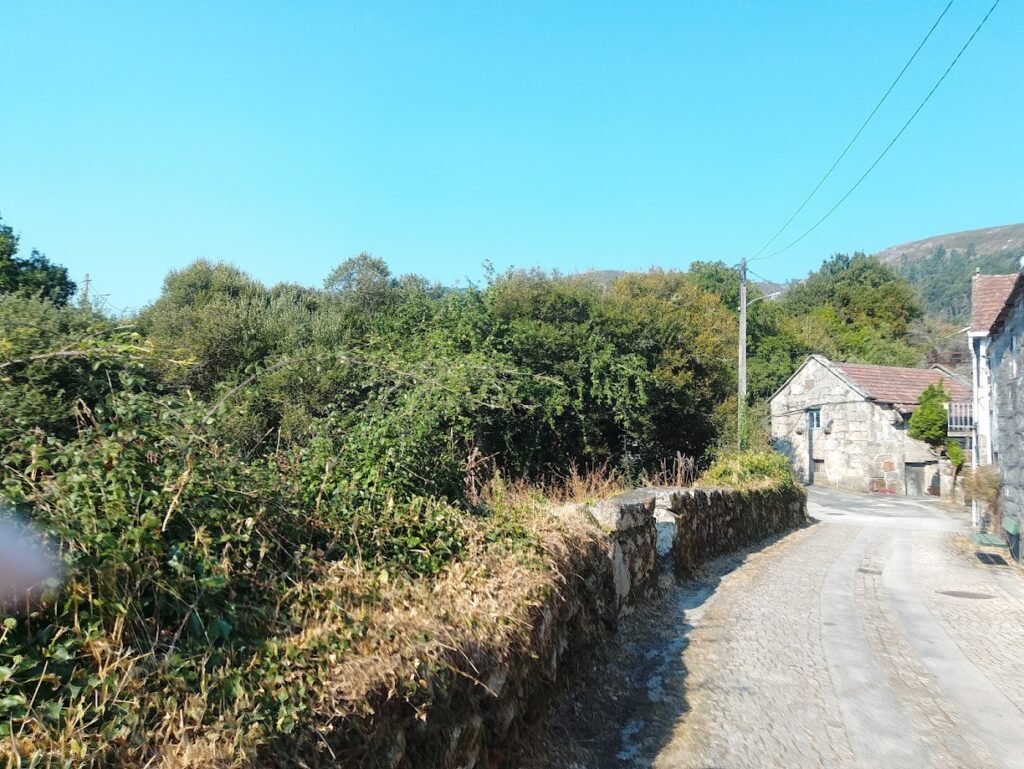 Camino rural pavimentado en Melón rodeado por un muro de piedra baja con vegetación densa y casas tradicionales al fondo