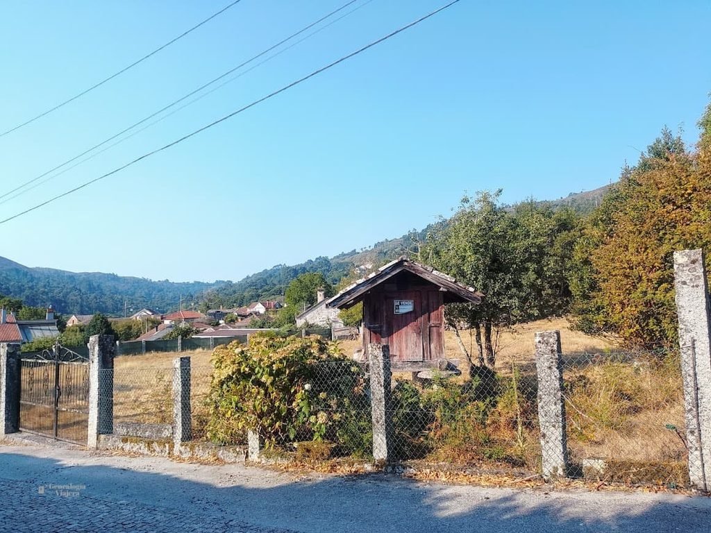 Hórreo tradicional gallego en un campo verde con ovejas pastando en la provincia de Ourense, Galicia.